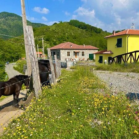 Colle del Faggio Nature Home Cassego-Villa Esterno foto