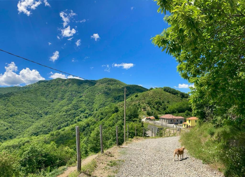 Colle del Faggio Nature Home Cassego-Villa Esterno foto