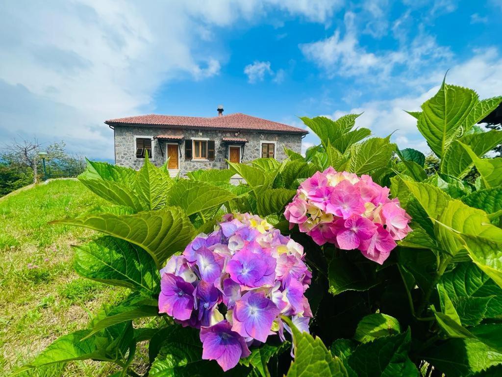 Colle del Faggio Nature Home Cassego-Villa Esterno foto